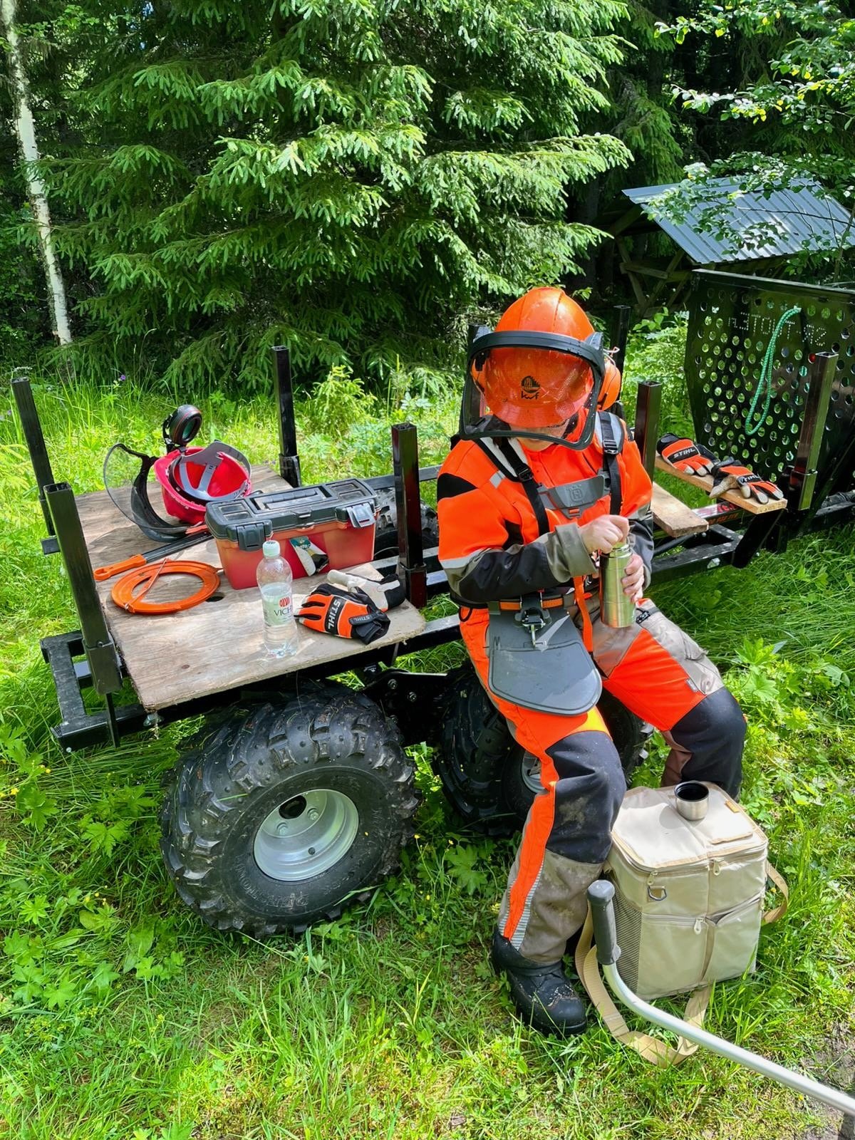 METKA-tuki – Taimikon ja nuoren metsän hoito